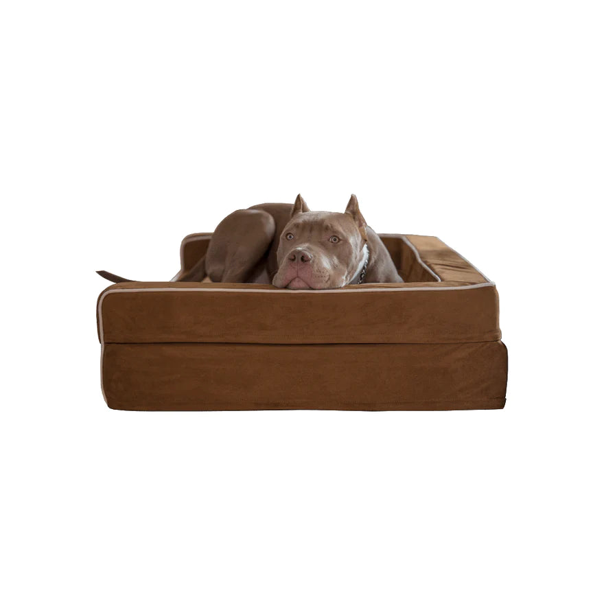 Pitbull beds clearance